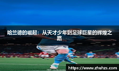 伟德体育
